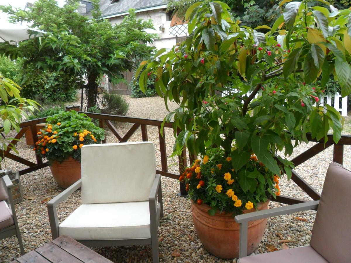 Chambres D'Hotes La Turone Cheillé Zewnętrze zdjęcie